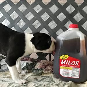 Meet your Posher, John